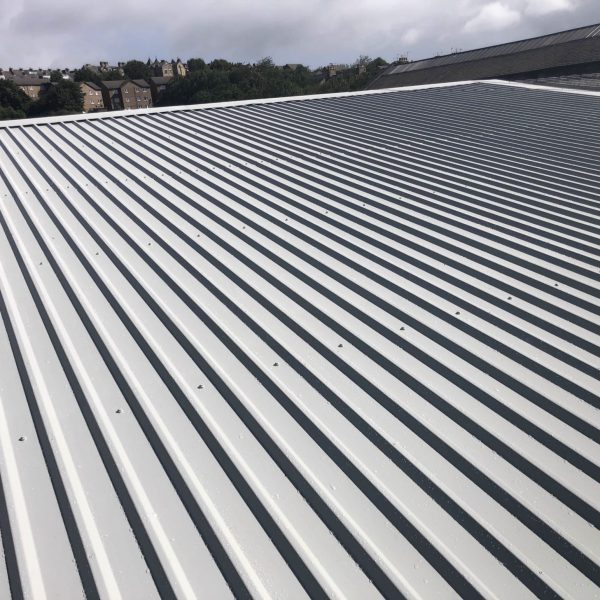 Coated metal roof with raised panel profiles