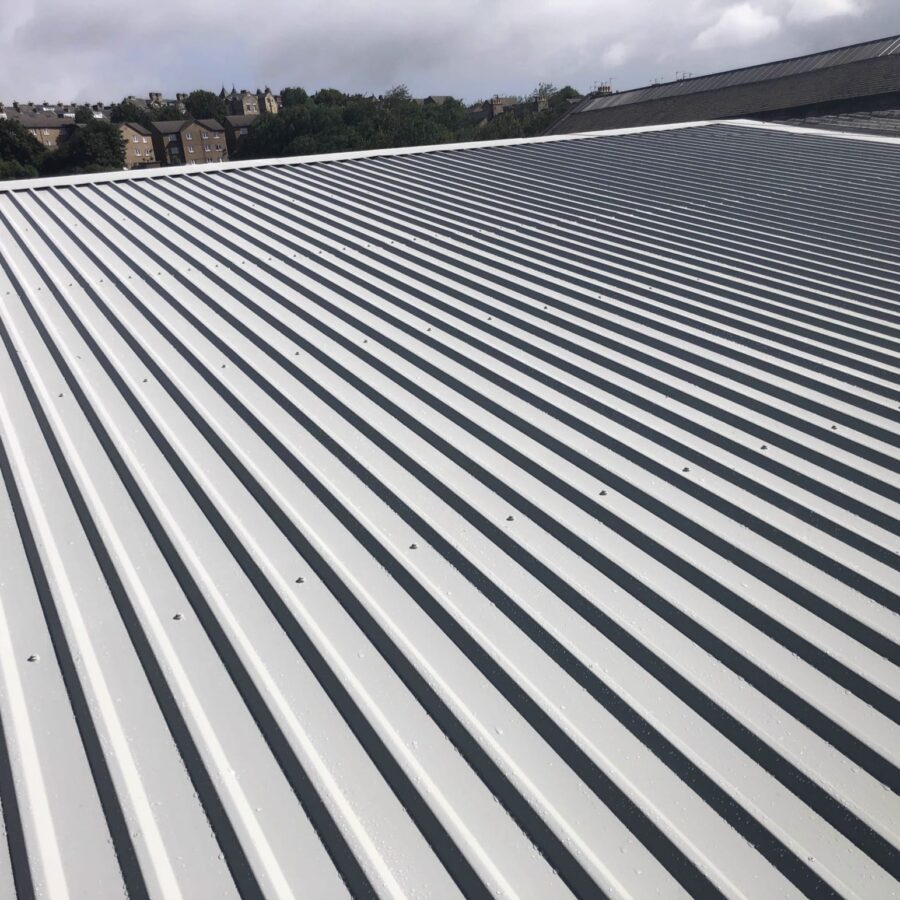 Coated metal roof with raised panel profiles