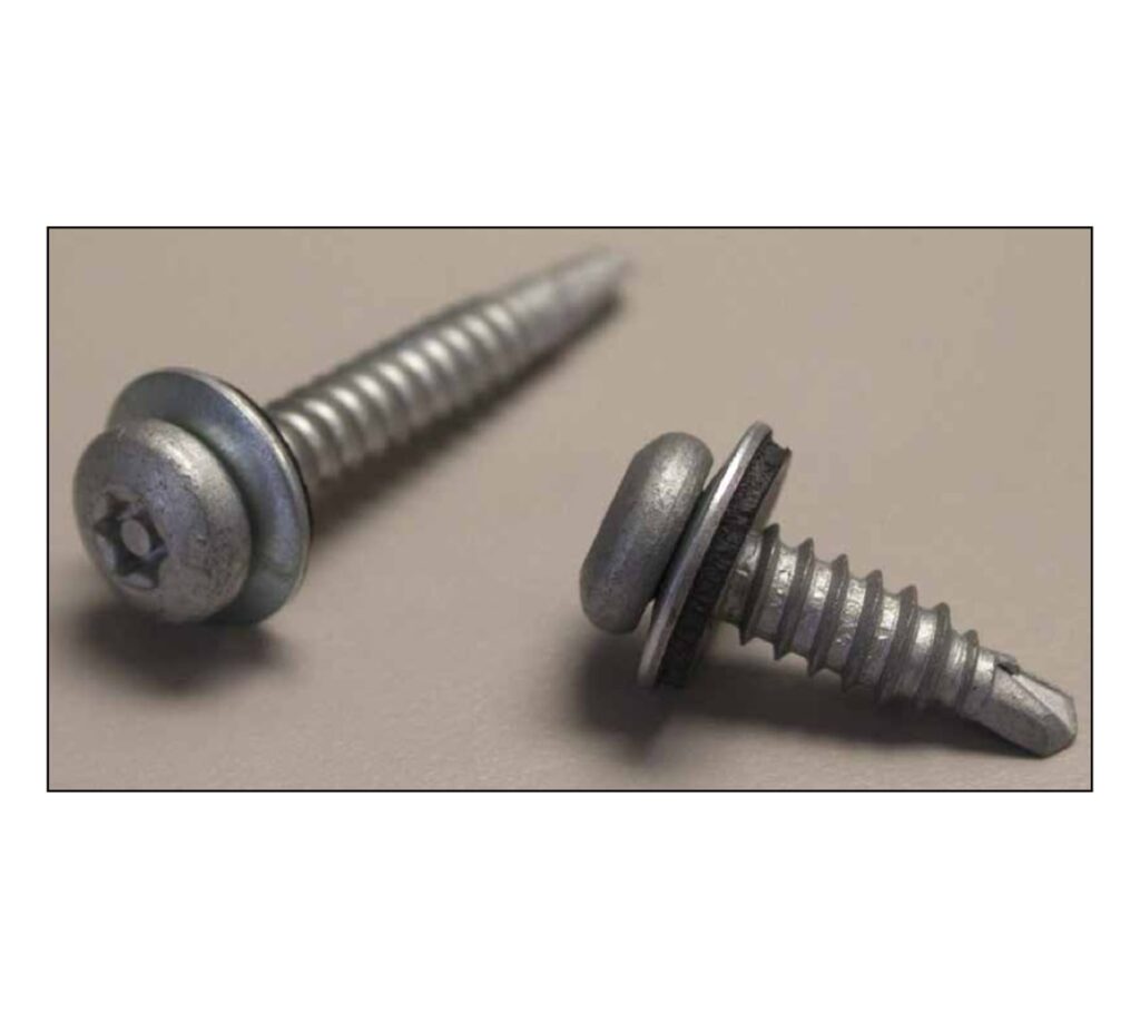 Two BLAZER security screws with Torx pin button heads and sealing washers
